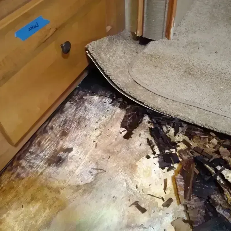 Wood Floor Water Damage in Forest Park, OH